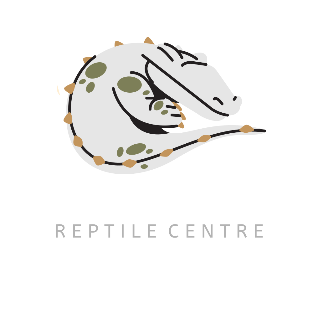 Dragon Rock Reptile Centre - Logo white